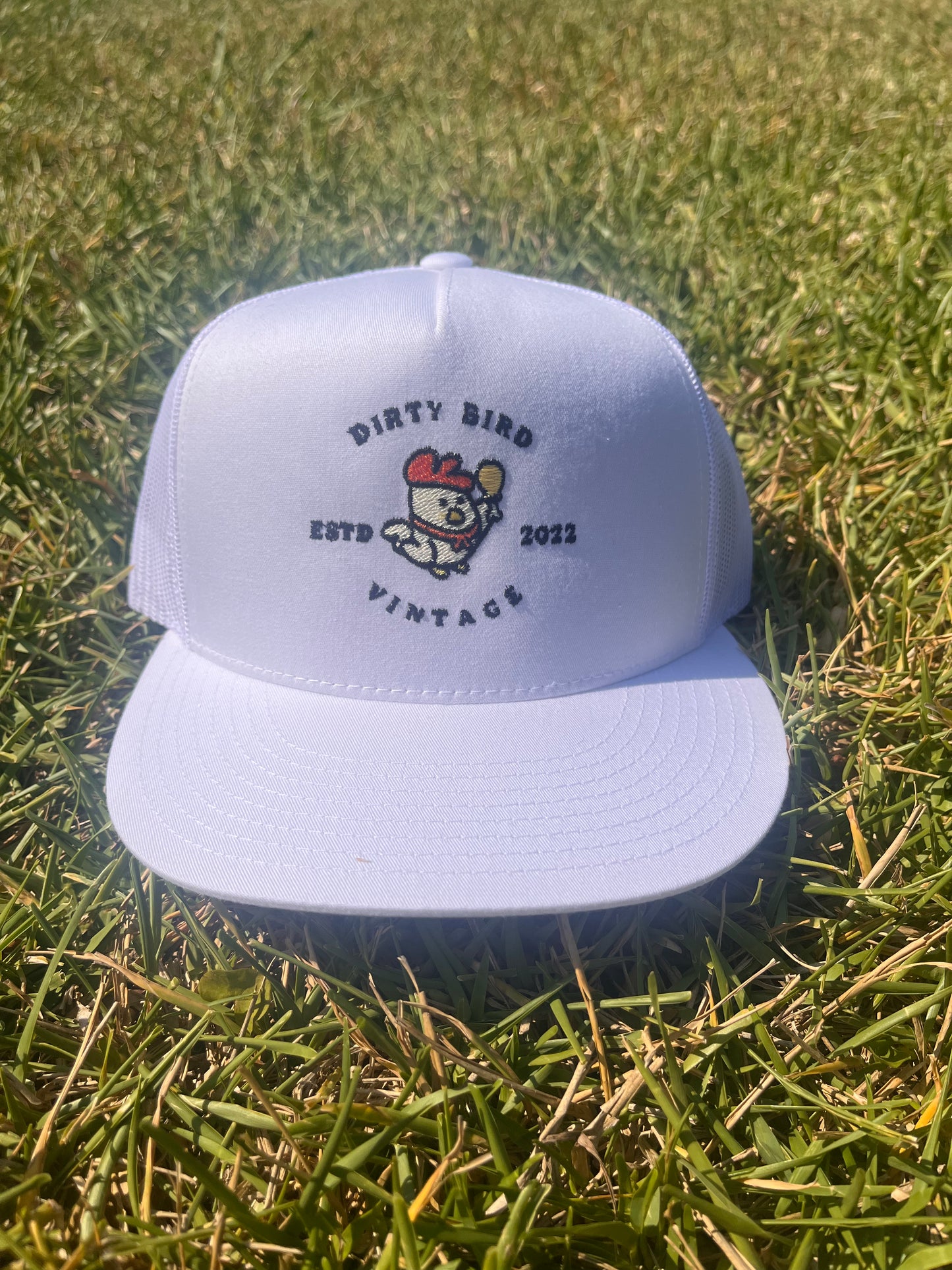 Dirty Bird Vintage Logo Hat